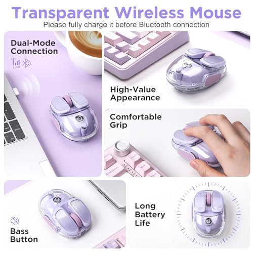 Souris optique 4800 DPI Q9 double mode compatible Mac et Win