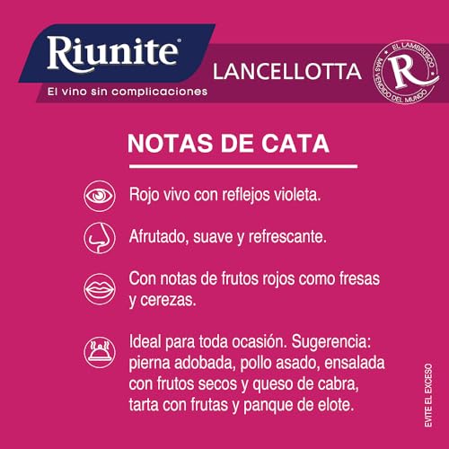 El Mejor Listado de Vinotecas pequeñas los 5 mejores. 3 Imagen adicional