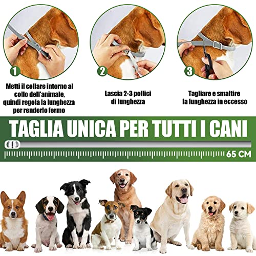 Collare Antipulci e Zecche Regolabile Impermeabile, Antiparassitario per Tutti i Tipi di Cani, 8 Mesi di Efficacia Protezione, 63cm Taglia Unica (1pack)