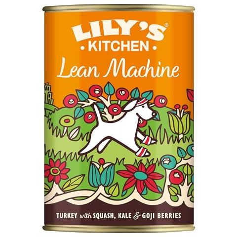 Lily's Kitchen Lean Machine Wet Dog Food Cover