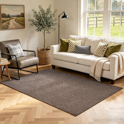 3x5 Coffee/White Area Rug Washable Non-Slip Soft Thin for Bedroom Kitchen
