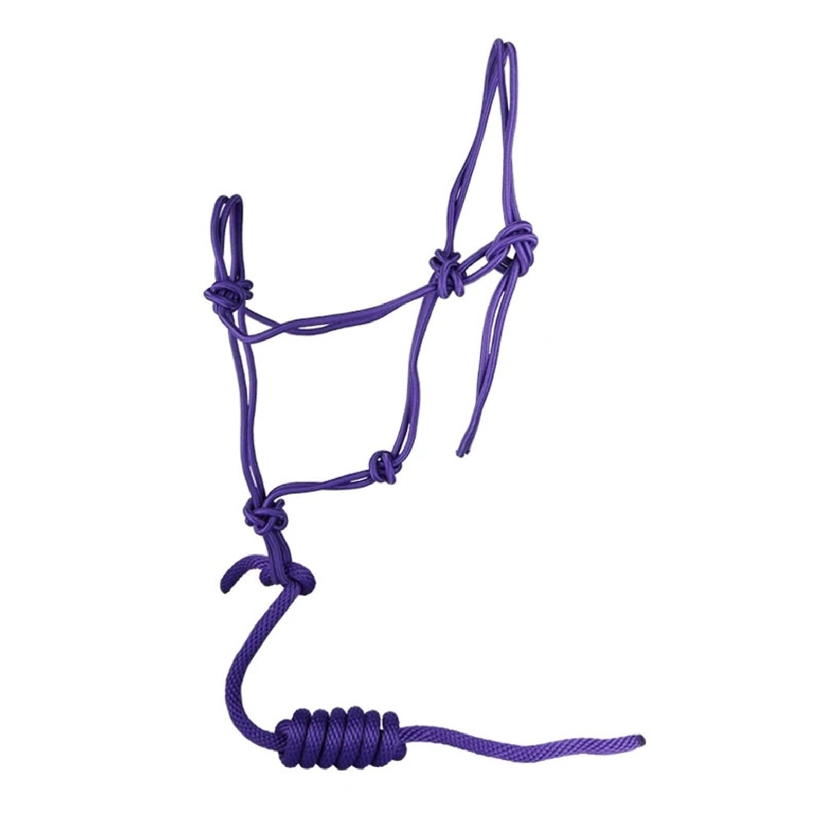 Licol de cheval violet et corde de guidage pour le paddock et l'écurie - 7