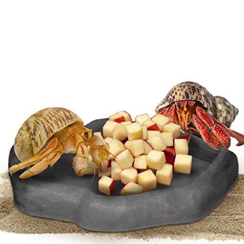 SunGrow Small Hermit Crab Feeding Bowl, 5.5â€ x 5â€ x 1â€, Charcoal Color, 1 pc per Pack
