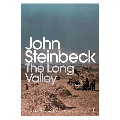 The Long Valley