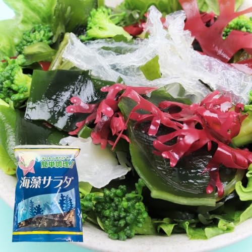 海藻サラダ 100g1袋 海藻 サラダ 乾燥 大容量 業務用 小分け 水戻し