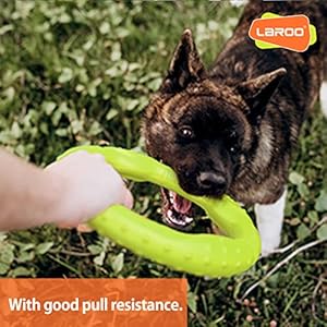 LaRoo Dog Flying Ring Toys, Floating Flying Dog Disc Toys, Summer Pet Training Outdoor Durable Chew Toys for Medium and Large dogs (Medium Green/22cm)