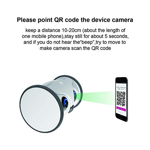 Interactive Toy for Dogs