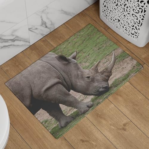 Paillasson extérieur original CEVAN tapis de bain antidérapant 50x80cm