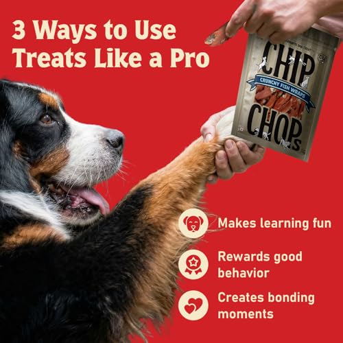 Image of Chip Chops Dog Treat, 70g, Tasty & Nutritious Dog Snack (Crunchy Fish, Pack of 1)
