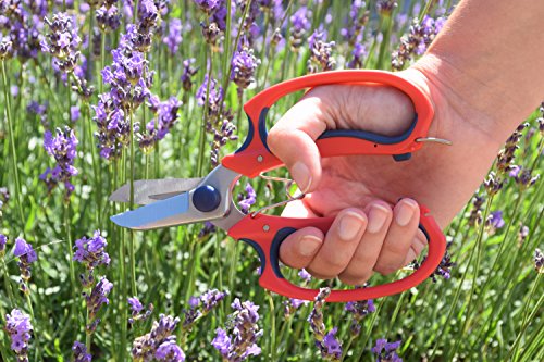 Spear & Jackson 4252GSSF Razorsharp Komfort-Gartenschere – Ansicht 2