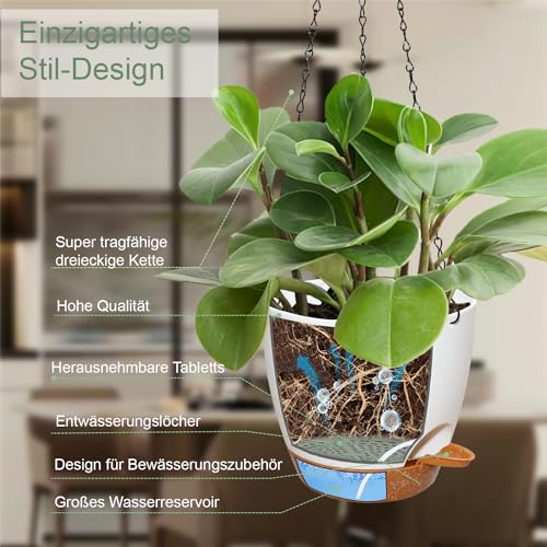 Pots de fleurs suspendus iDattel pour embellir vos plafonds et balcons - 5