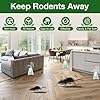 Mouse Rodent Repellent, 25 Pack Peppermint Oil Mouse Traps for Rat Mice, Ant, Roach, Spider, Squirrel, Nature Mouse Deterrent for Indoor Outdoor Use, for Garden & Home, Family & Pet Safe #1