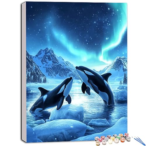 V` G |Lbg l 40x55 cm, I[ yCgoCio[ SҌ ɂAN ʊG̋C DIY lC hG  | |pi, Paint by Numbers for Home Wall Decor,