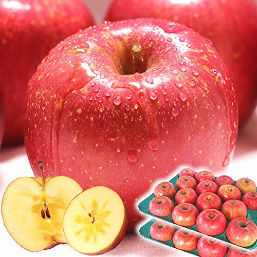 りんご 10kg箱 サンふじ ご家庭用 青森 10キロ箱 林檎