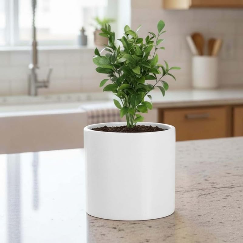 Image of Amazon Brand - Umi Tube 12 Inch Round Pots for Planter & Flowers Gamla - Lightweight, Durable Outdoor & Indoor Planters, Perfect for Balcony & Terrace Gardens (White)