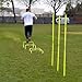 Fitness Health FH Speed Training Slalom Poles 5 Ft Set of 3 Agility Football Training Posts - Multi Sport Rugby, Hockey & Skiing