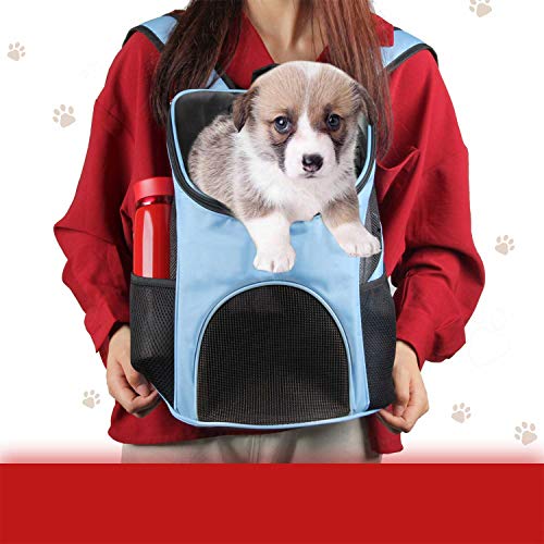 Dog Carrier Backpack Breathable For Small Pets/Cats/Puppies, Pet Carrier Bag With Mesh Ventilation, Safety Features And Cushion Back Support, For Traveling, Hiking, Camping, Walking & Outdoor, Black #TOP6