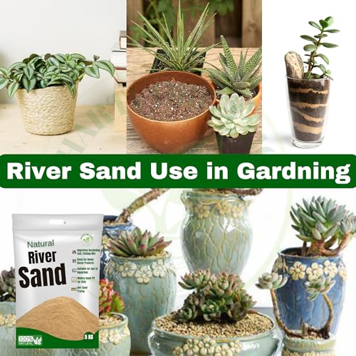 Image of Organic Natural River Sand for Plants Gardening | River Sand for Aquarium | River Sand for Kids Play |Pure Organic Plants Soil Mix Additive Adenium Cactus Succulent Bonsai| Home Decor Sand (20)