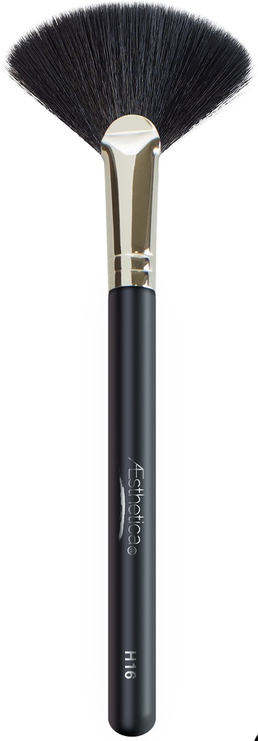 Aesthetica Deluxe Fan Makeup Brush/Highlighter Brush - Vegan and Cruelty Free : Beauty & Personal Care