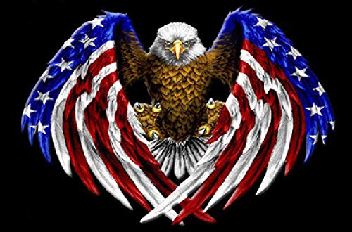 Kit Broderie Diamant Complète Ailes Eagle drapeau carré en résine 50x60cm