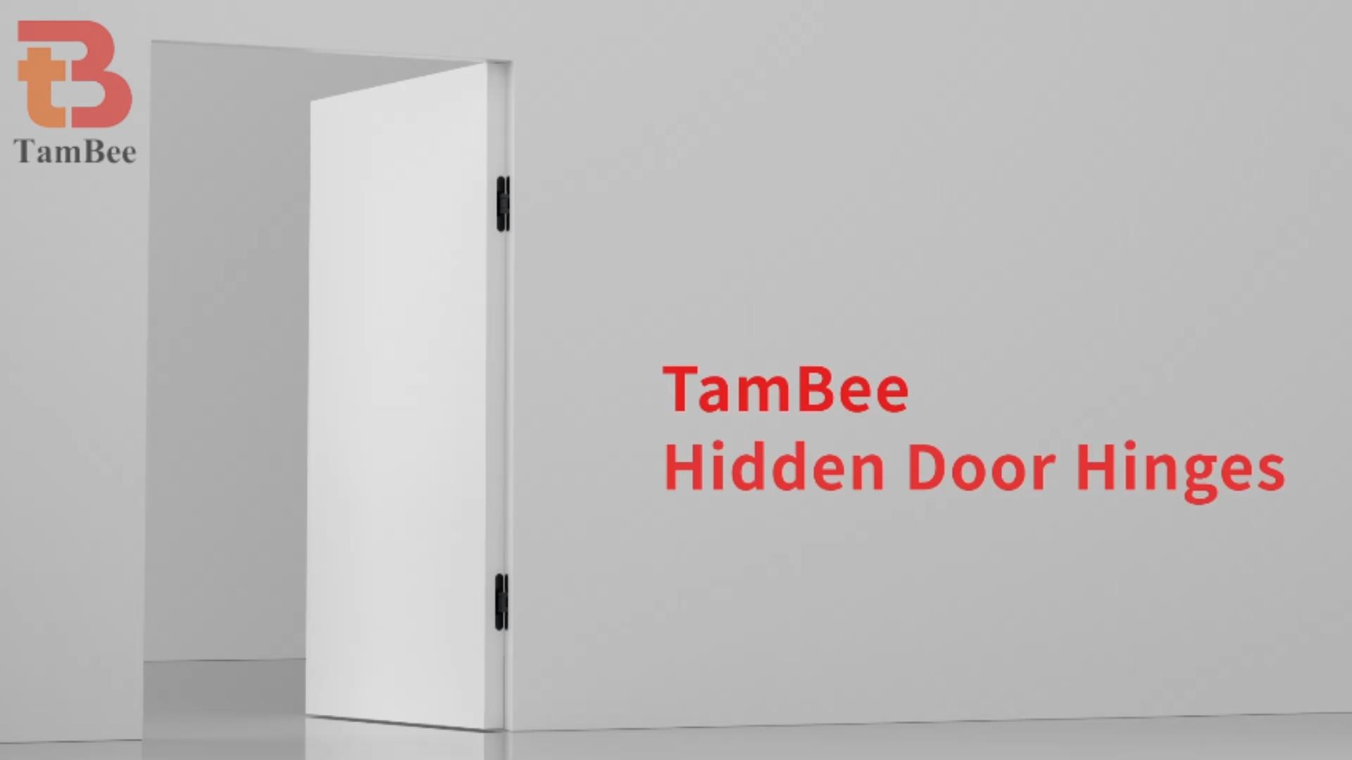 TamBee Hidden Door Hinge Invisible Hinges - Black, 3 Way