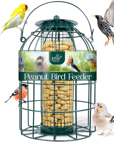 Pelle & Sol Bird Feeder - Peanut Feeder for Wild Birds - Compact Iron Design for Bird Feeders Hanging Station - Weather Resistant Squirrel Proof Easy Clean Hang Anywhere Outdoor Feeders