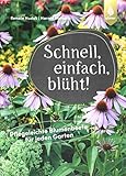 blumenbeete  Schnell, einfach, blüht: Pflegeleichte Blumenbeete für jeden Garten