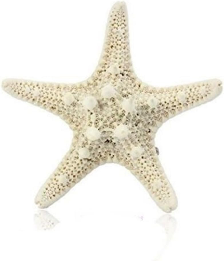 XX Sufias Accessories Real Starfish Hair Clip Beach Wedding Bridal Sea Shell Mermaid Boho Festival Pin
