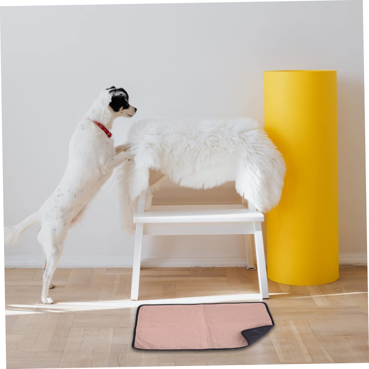 BESPORTBLE Tappetini Cane Lavabili Assorbenti, Traversa Riutilizzabile , , per Cuccioli e Cani, per Porte e Aree Pet