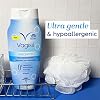 Vagisil Feminine Wash for Intimate Area Hygiene, pH Balanced and Gynecologist Tested, Fragrance-Free, 12 oz (Pack of 1)