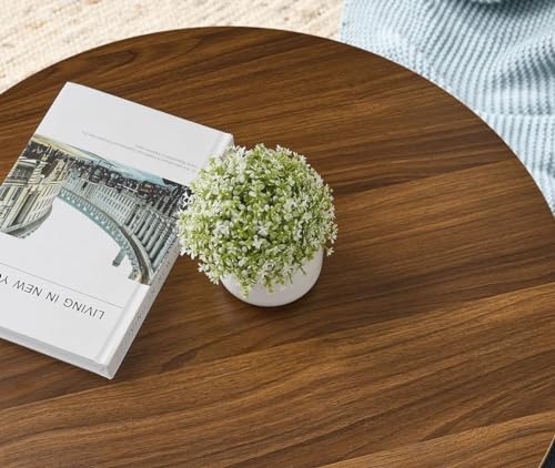 Image of Elegent Round Coffee Table with Wooden Top, Storage Ottoman Tables for Living Room, Centre Tables, Tea Tables, Farmhouse, Wood Drum Coffee Table (Cream)