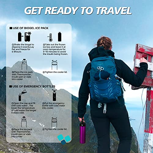 Image of Medineed Insulin Cooler Travel Case TSA Approved, Portable Medication Cooler with Ice Packs, Refrigerated Diabetes Travel Organizer for 1-4 Pens and Diabetic Supplies (Purple)