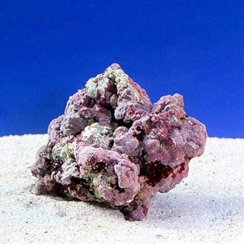 ライブロック　Sグレード　約4.5kg 500005-1.jpg