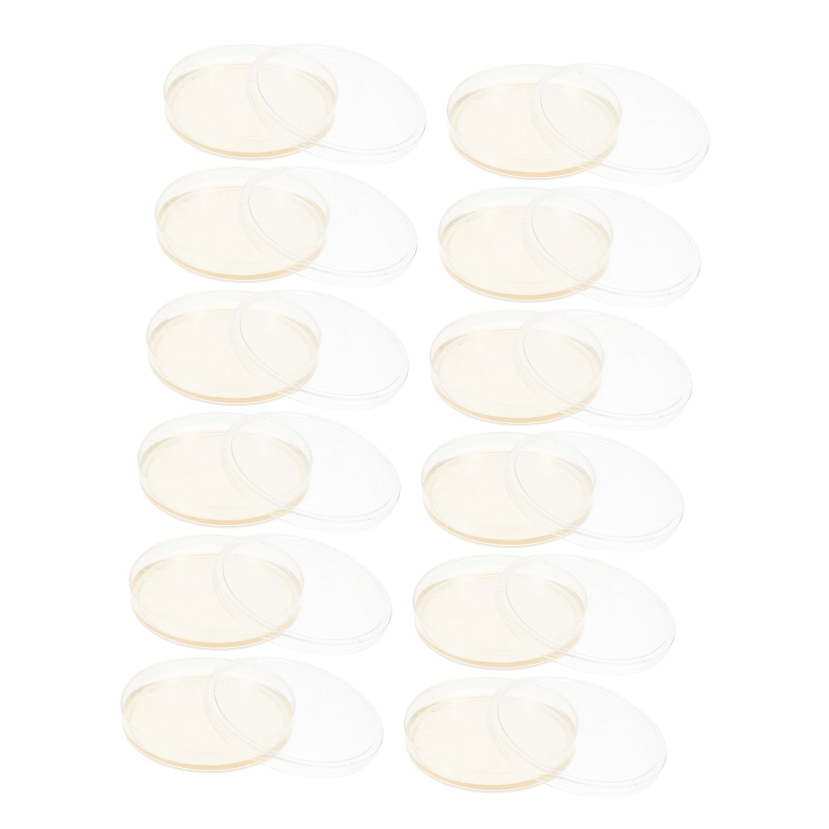 Piastre di Petri Sterili in Plastica 20 Pezzi Agar Nutritivo Lb Preriposte 9 Cm per Coltura Cellulare e Funghi, Coperchi Ermetici per Esperimenti Scientifici in Laboratorio