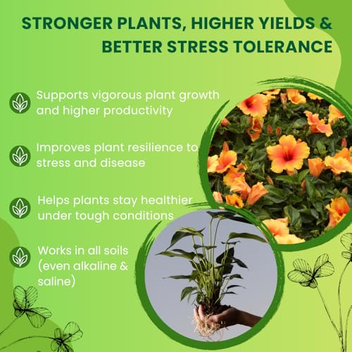 Image of Utkarsh Roots Multiplier Plant Food | Hairy Root Booster for Plants | Enhances Root Growth, Nutrient Uptake & Plant Health (1 Lit; Pack of 1)