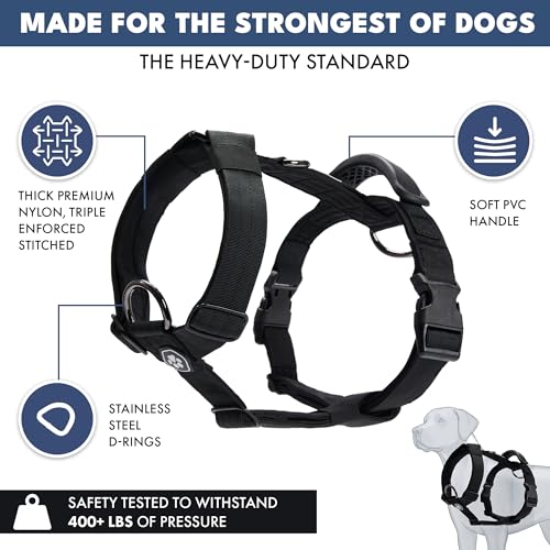 Image of Spark Paws No Pull Dog Harness with Handle for Large Dogs, Heavy Duty Dog Harness for Big Strong Breeds, Adjustable, Y Shaped Padded Halter Design with Front Clip - Black - L