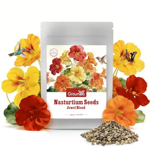 Groundio Nasturtium Seeds, 1 Ounce Large Packet 200+...