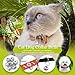 Eeejumpe Coastal Pet Products DCP45105 3-Pack Li'l Pals Round Dog Bells, 1/2-Inch, Silver