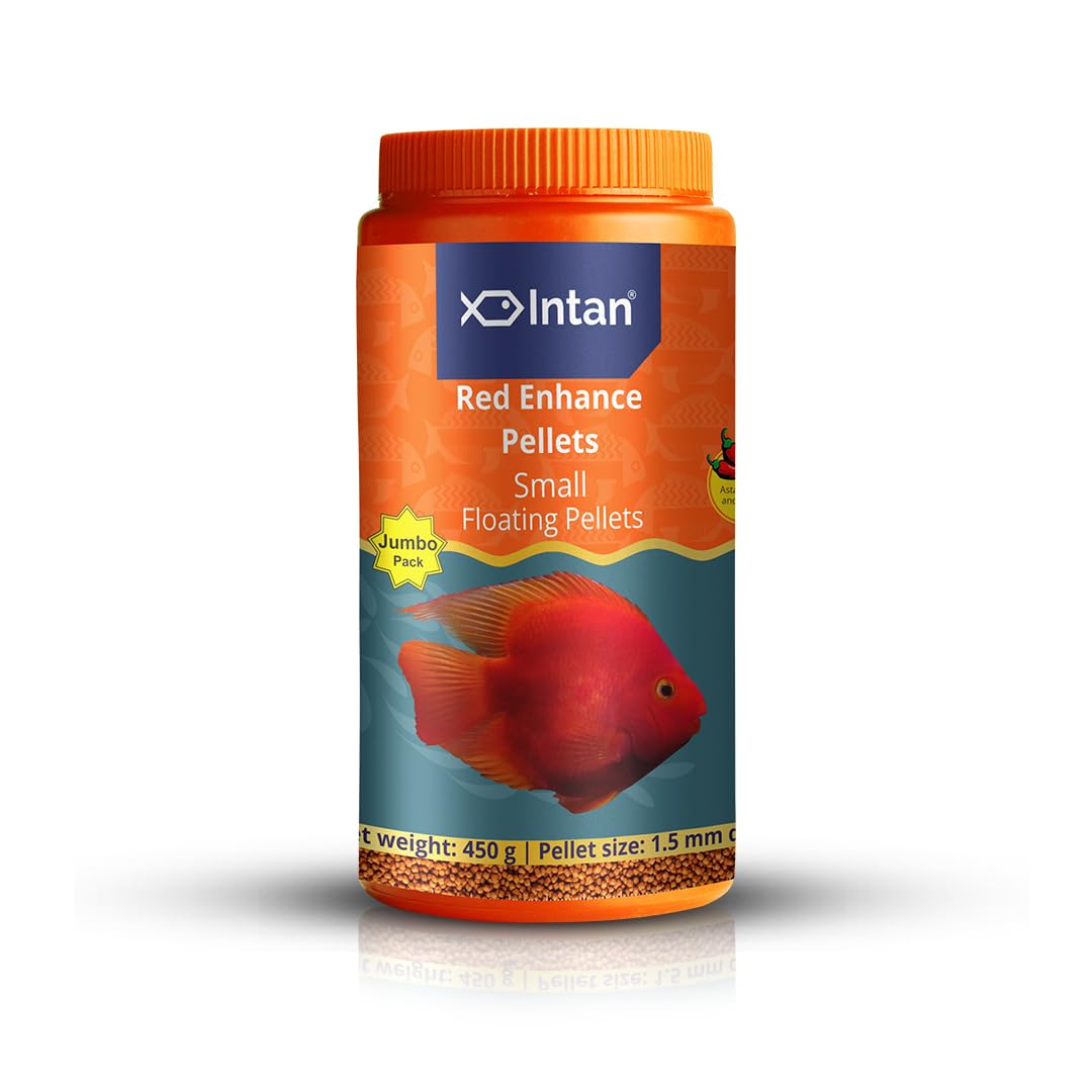 Intan Growel Red Enhance Pellets (Small 1.5Mm Floating) | 450Gm - Highly Nutritious Ornamental Fish Food For Parrotfish & Red Coloured Fish (B0CFY4Q91X) Amazon Price History, Amazon Price Tracker