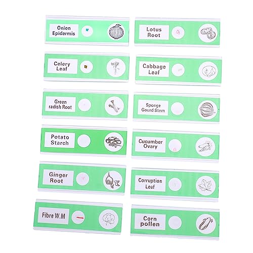 OUNONA Safe Fun Learning Tool 12pcs Plastic Prepared Microscope Slides Labels for Boys and Girls Students and Home Science Projects