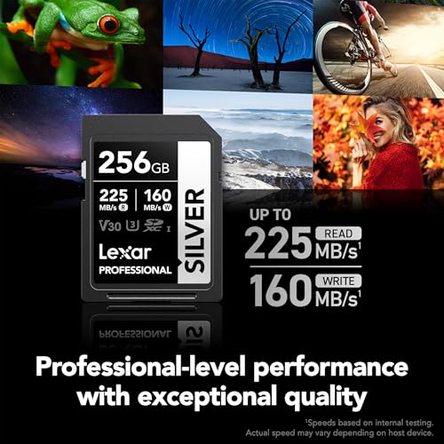 Image of Lexar 256GB Professional Silver SDXC Memory Card, UHS-I, C10, U3, V30, 4K Video, Up to 205 /140 MB /s Read /Write, for Professional Photographer, Videographer, Enthusiast (LSDSILV256G-BNNNU)