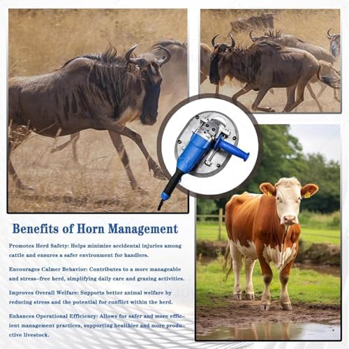 Electric Dehorner for Cattle Sheep, Electric Cattle Dehorner, 1900/2100W Painless Dehorner for Goats, 8800r/min, No Lubrication Required, 2s Cut, for Veterinary, Farm, Ranch Animal(2100W) - 5