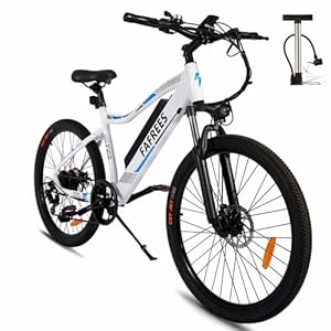 Fafrees F100 Elektrische fiets, 26 inch, e-bike 250 W, elektrische mountainbikes, uitneembare 48 V 11,6 Ah batterij…