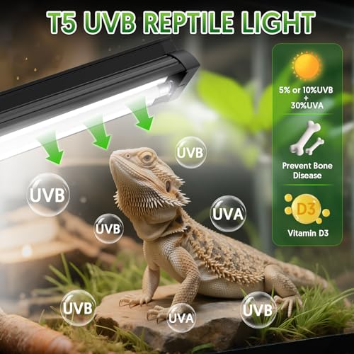 Image of QZQ T5 UVB Reptile Light Fixture Combo Kit 8W, UVB Light for Reptiles with Switchable 5.0 & 10.0 UVB Output, Terrarium Hood Lamp for Bearded Dragon, Snake, Gecko, Tortoise, Lizard