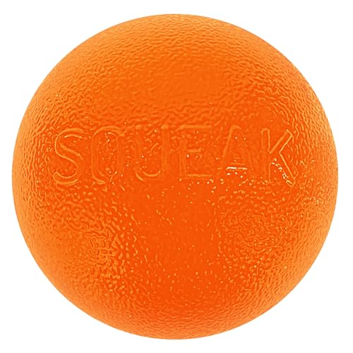 Outward Hound by Planet Dog Squeak Ball Bouncy Fetch Dog Toy, Orange