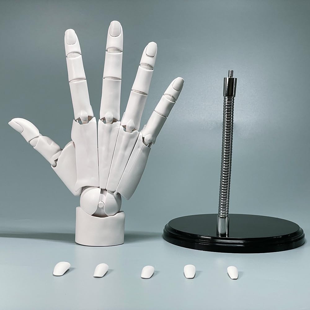 1:1 Flexible Right Hand Model, Joints Moveable Artists Manikin Hand Figure for Arts Drawing Sketching Painting Jewelry Display (White, one Size)