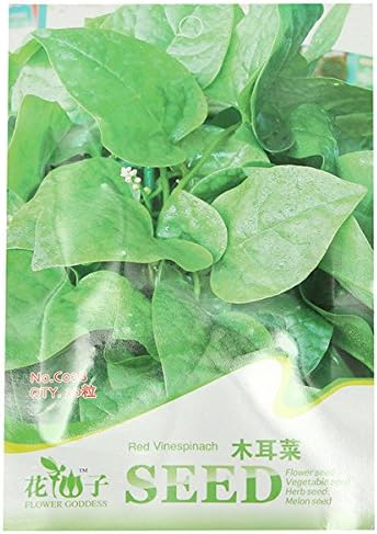 30pcs Malabar Spinach Seeds For Home Garden Cooking Vegetables