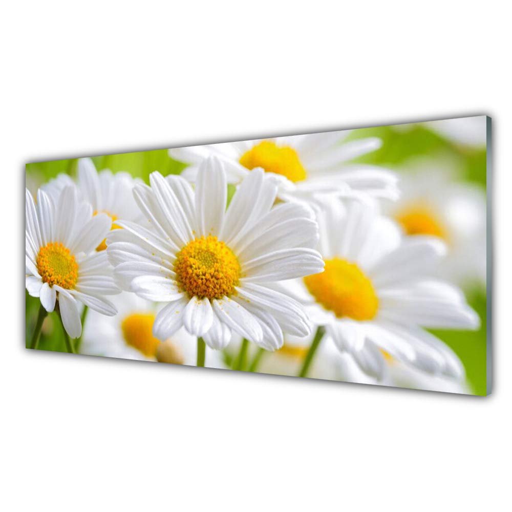 Impression sur Verre Trempé Tulup - Finis les murs vides avec Daisy Floral