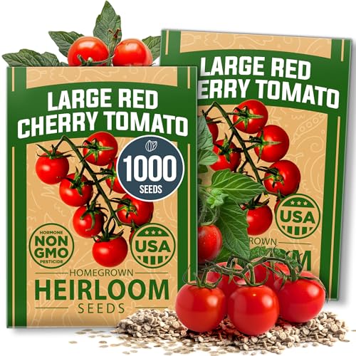 Image of HOME GROWN Large Red Cherry Tomato Seeds 1000+ Heirloom Non-GMO Seeds for Planting, High Germination,Indeterminate, Sweet & Juicy Salad Tomatoes,Prolific Garden Crop,Sustainable (Solanum lycopersicum)
