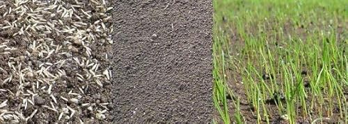 Ő̎ ΂ۂTOP-GREEN 500g×2